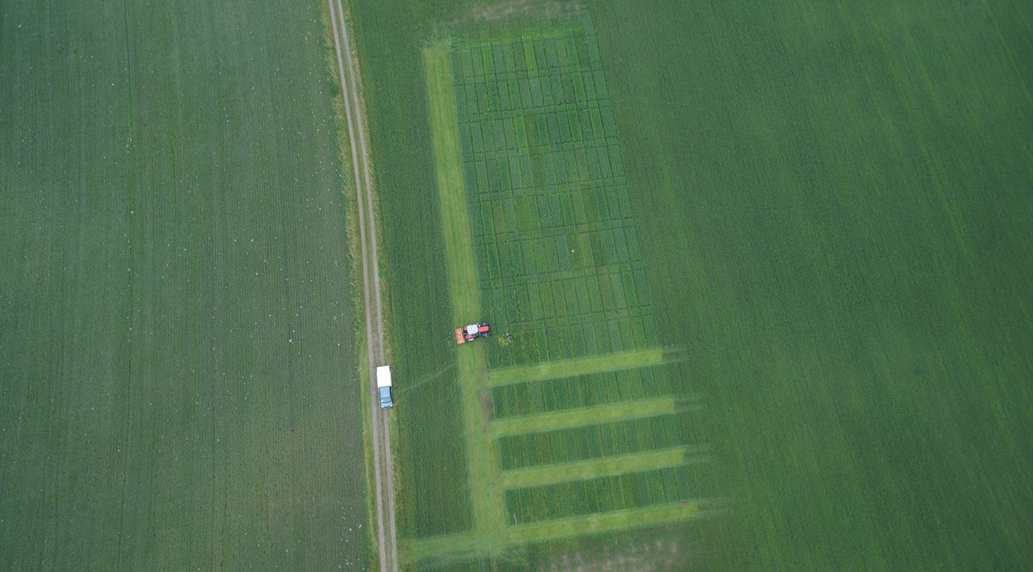 Agricultural field trials